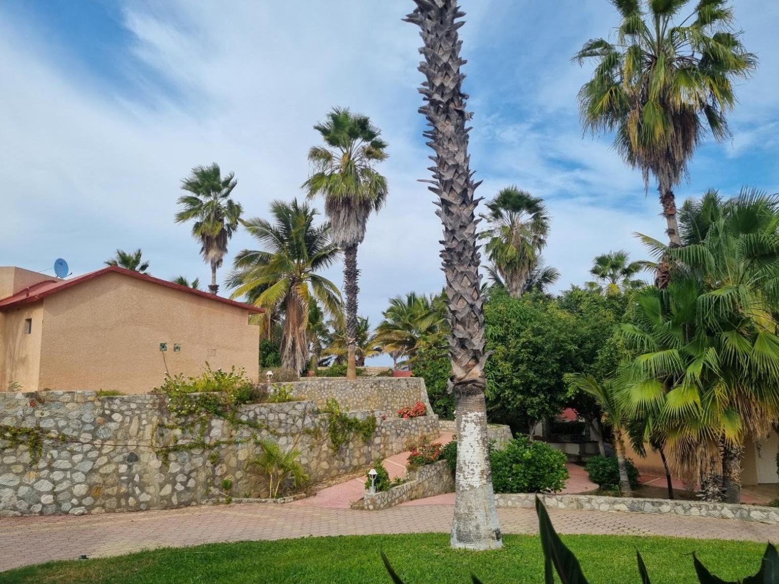 Buena Vista Oceanfront & Hot Springs Resort Buenavista  Extérieur photo